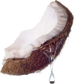 Maybelline Total Temptation Waterproof Mascara - 001 Zwart -Max Factor Winkel 1051x1200 4