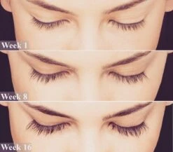 Lanthome Wimperserum - Met Castor Olie -Max Factor Winkel 1200x1056 1