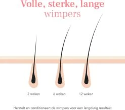 Lashive Wimperserum - Wimper Groeiserum - 3 Ml - Wenkbrauw Serum - Lash Lift Kit - Lashserum -Max Factor Winkel 1200x1060