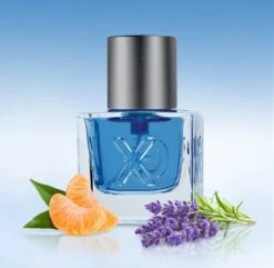 Mexx Man - 50 Ml - Eau De Toilette Spray - Herenparfum -Max Factor Winkel 1200x1170 24