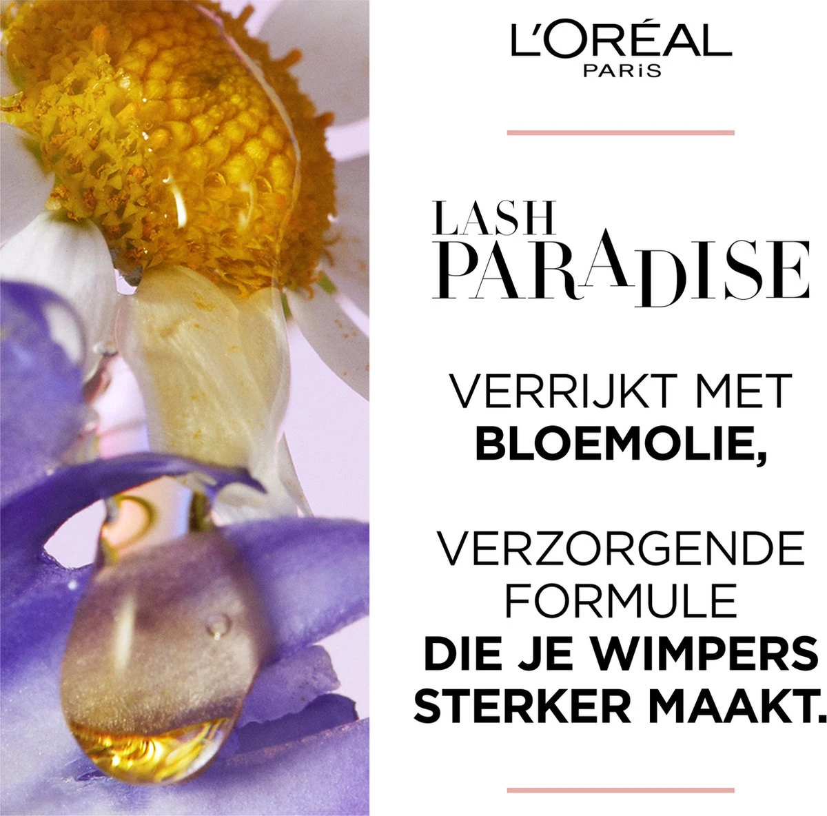 L’Oréal Paris - Lash Paradise Mascara - 01 Black - Zwarte Volume Mascara - 6.4 Ml (Paradise Extatic) 4 L’Oréal Paris - Lash Paradise Mascara - 01 Black - Zwarte Volume Mascara - 6.4 Ml (Paradise Extatic) - Afbeelding 2