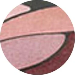 L’Oréal Paris Color Riche Les Ombres Quad - E6 Eau De Rose - Oogschaduw -Max Factor Winkel 1200x1199 10