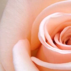 Spider-Man Geschenkset - Eau De Toilette 100 Ml & Douchegel 60 Ml - Met Toilettas -Max Factor Winkel 1200x1200 1552