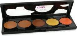 L'Oréal Paris LMU Inf.TCover Conceal.palette 2 Dark S Concealermake-up