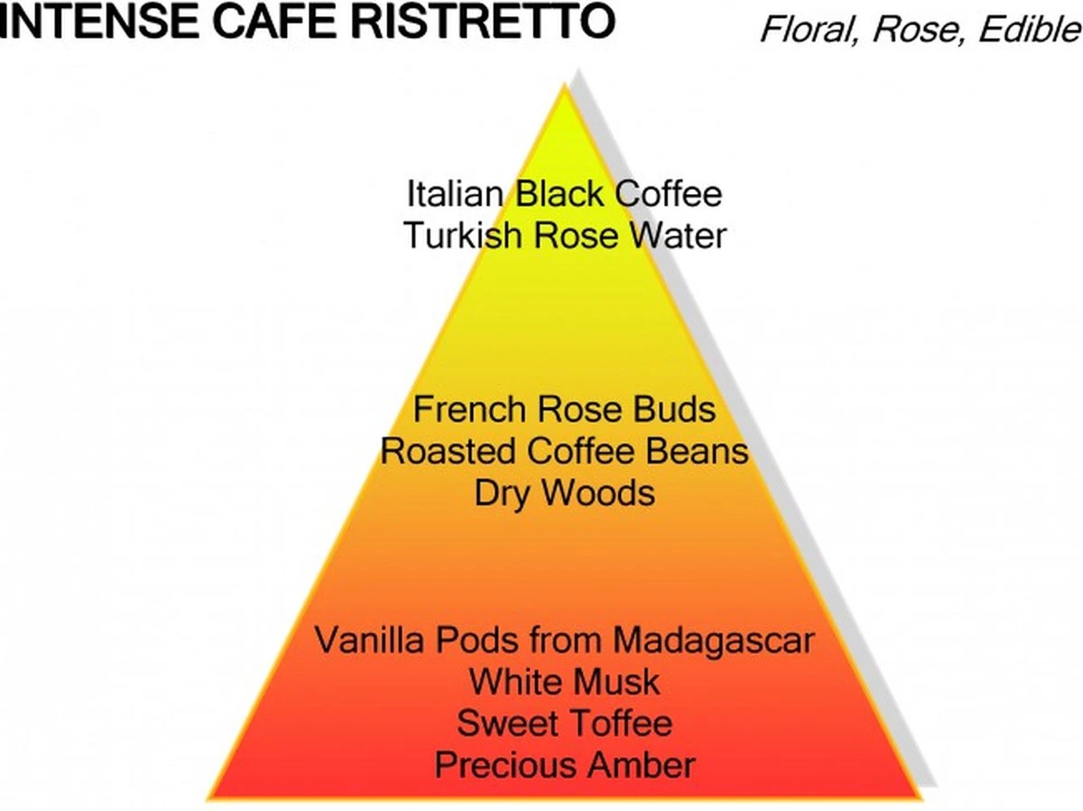 Montale Ristretto Intense Café Extrait De Parfum 100 Ml 6 Montale Ristretto Intense Café Extrait De Parfum 100 Ml - Afbeelding 4