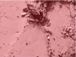 MAC Cosmetics Blush Mocha 9 MAC Cosmetics Blush Mocha -Max Factor Winkel 1200x906