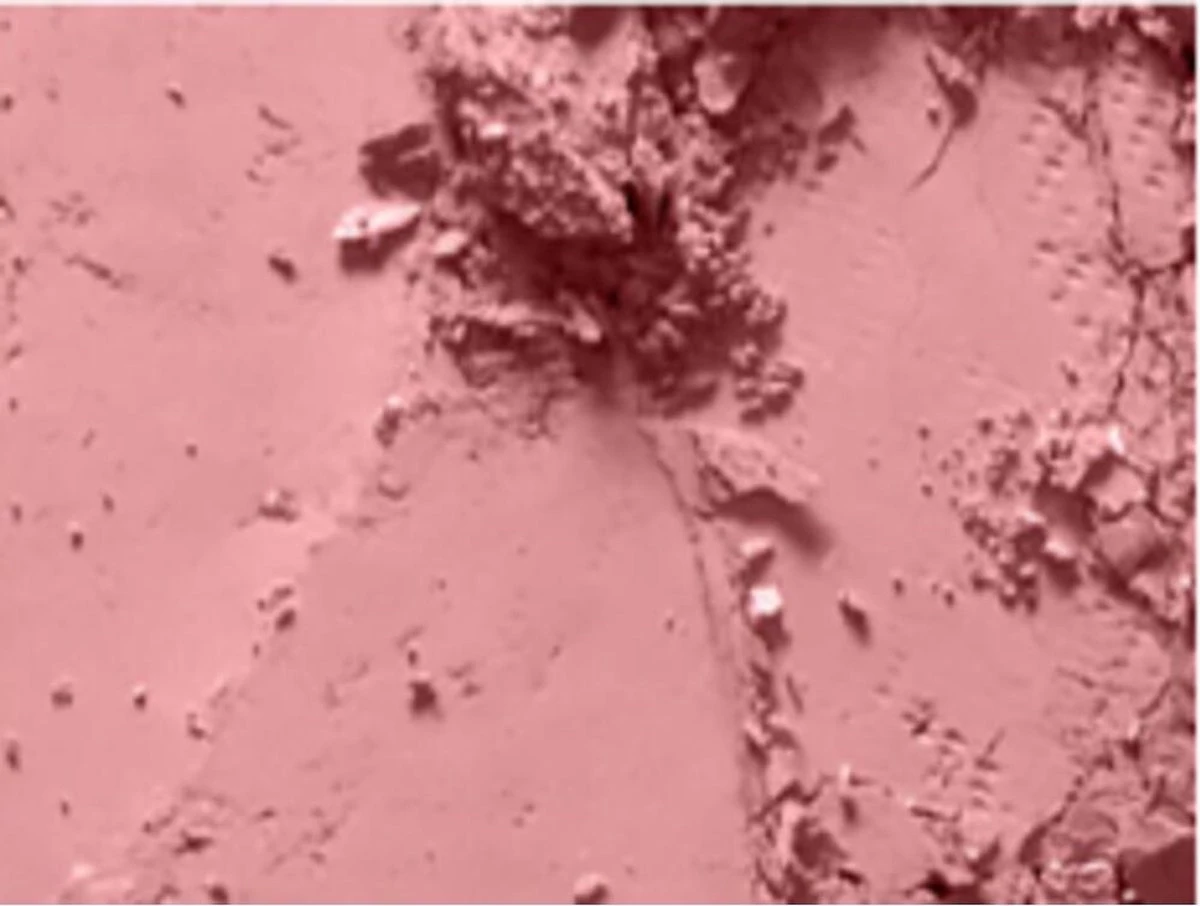 MAC Cosmetics Blush Mocha 5 MAC Cosmetics Blush Mocha - Afbeelding 3