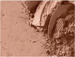 Mac Powder Blush -Max Factor Winkel 1200x911 3