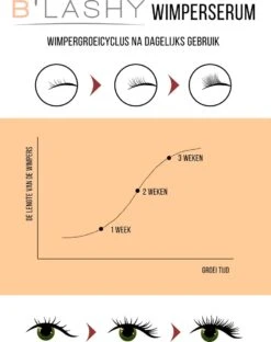 B’LASHY® Wimperserum - Wimper Groeimiddel - Wimper Serum Voor Sterke, Lange En Volle Wimpers - 5 Ml -Max Factor Winkel 951x1200 2